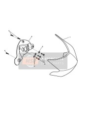 Pare-brise éditions spéciales