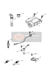 Sistema de gestión del motor
