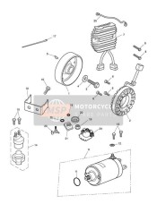 T3205063, Bolt, Hhf, Lghtd, M6 X 16, Slv, Triumph, 0