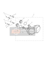 Koplamp Assemblage