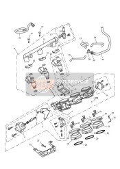 Papillons d'injection et rampe de carburant
