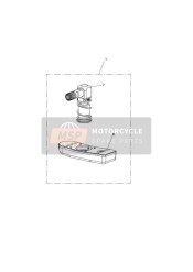 TPMS - Japan & Hong Kong