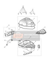 T3700081, Clip Hose, Triumph, 0