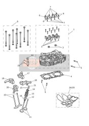 Cylinder Head & Valves