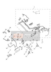 T2502455, Fall Detection Switch, Triumph, 2