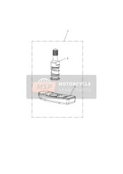 TPMS, Giappone e Hong Kong