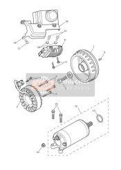 Alternator & Starter Motor