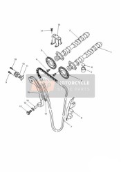 Albero a camme e trasmissione