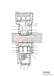 Carterbevestigingen Daytona 900 3 cilinder 9872