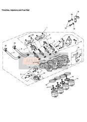 Throttles Injectors and Fuel Rails