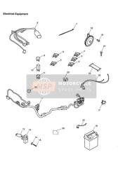 T2500113, Horn Assembly, Hi Tone, Triumph, 2