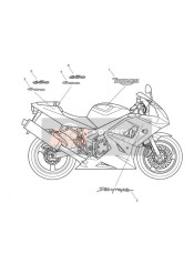 Bodywork  Decals