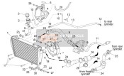 CM001914, Slangklem, Piaggio, 1