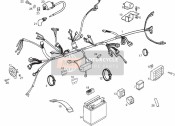 Elektrisch Systeem