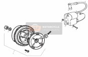 Cdi Magnets Assembly