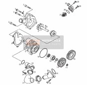 AP8520275, Gasket Ring D20.6X2.6, Piaggio, 1