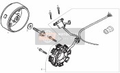 Cdi Magnets Assembly