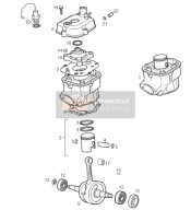 Cylinder - Cylinder Head