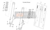 Forcella anteriore (2)