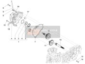 B017168, Aangedreven Poelie As Z=15, Piaggio, 0