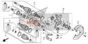Knuckle anteriore & Albero di trasmissione anteriore