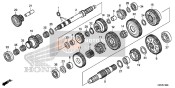 Getriebe (TRX420FA1/FA2)