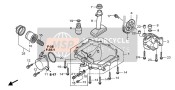 OIL PAN & OIL PUMP