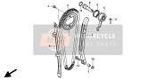 CAM CHAIN & TENSIONER