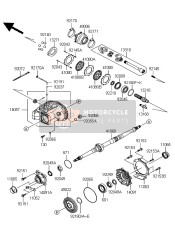 Drive Shaft & Rear