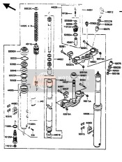 Forcella anteriore