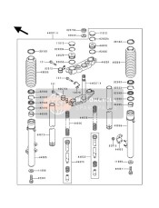 Forcella anteriore