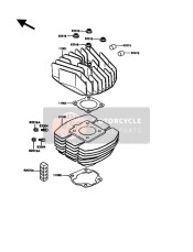 Cylinder Head & Cylinder