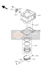 Cylinder & Piston(S)