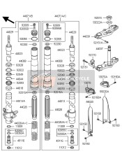 Forcella anteriore