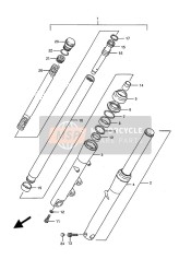 Forcella anteriore