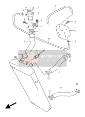 Radiator Hose