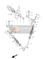 Camshaft & Valve