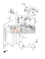 Radiator Hose