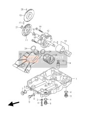 Oil Pan & Oil Pump