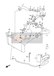 Radiator slang (SV650A E02)