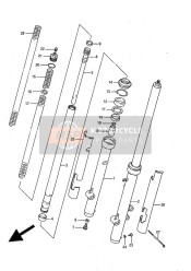 Forcella anteriore