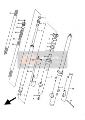 Forcella anteriore