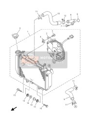 Radiator & Hose