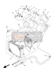 Radiator & Hose