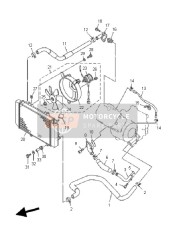 Termosifone & Tubo