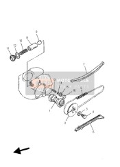 Camshaft & Chain