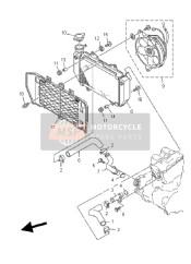 Termosifone & Tubo