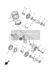 Crankshaft & Piston