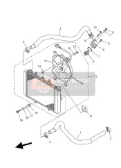 Radiator & Hose