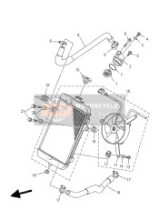 Radiator & Hose